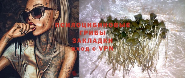 сатива Алексин